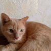 Иконка канала channel73294194