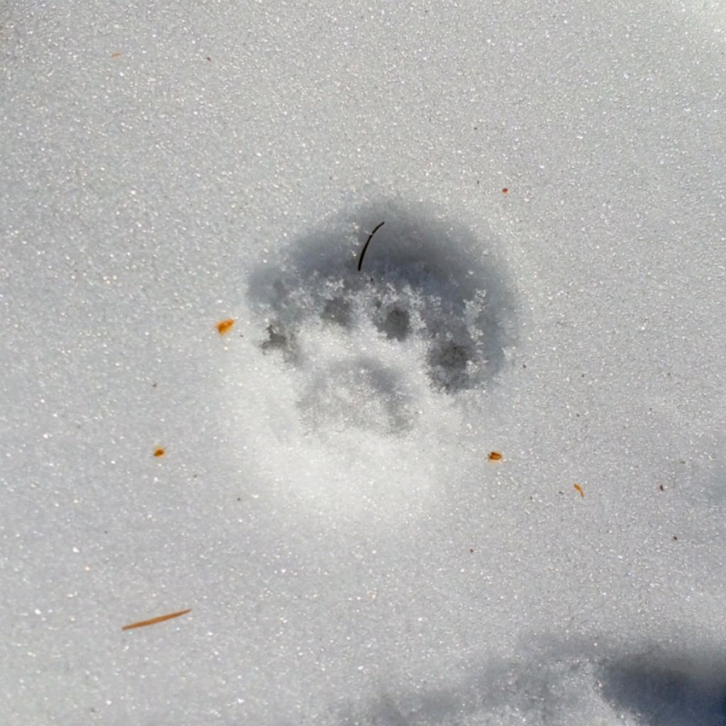 Иконка канала Nata23