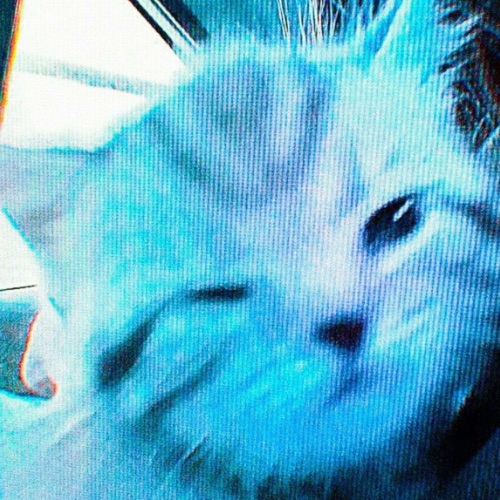 Иконка канала boy animathions