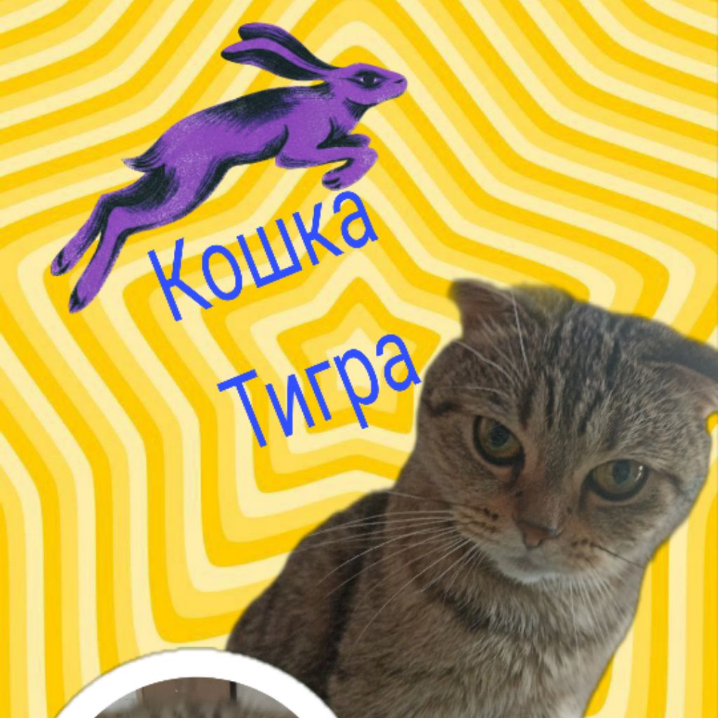 Иконка канала THE TIGRESS🩷