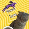 Иконка канала THE TIGRESS🩷