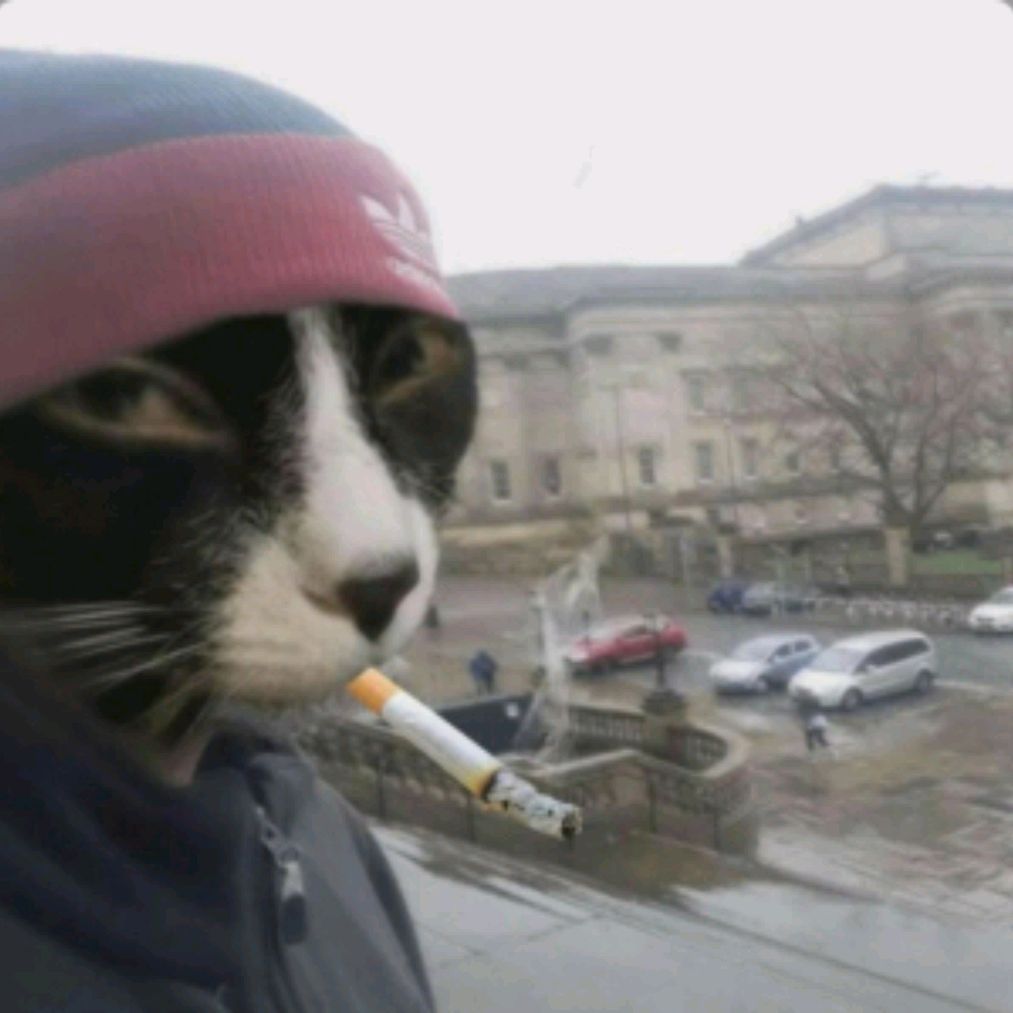 Аватар автора