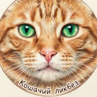 Иконка канала Кошачий ликбез