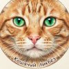 Иконка канала Кошачий ликбез