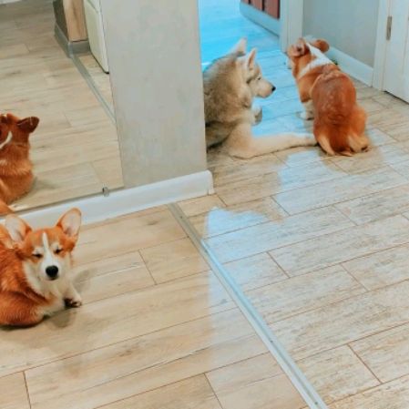 Иконка канала Включаю Режим инвалида🥴