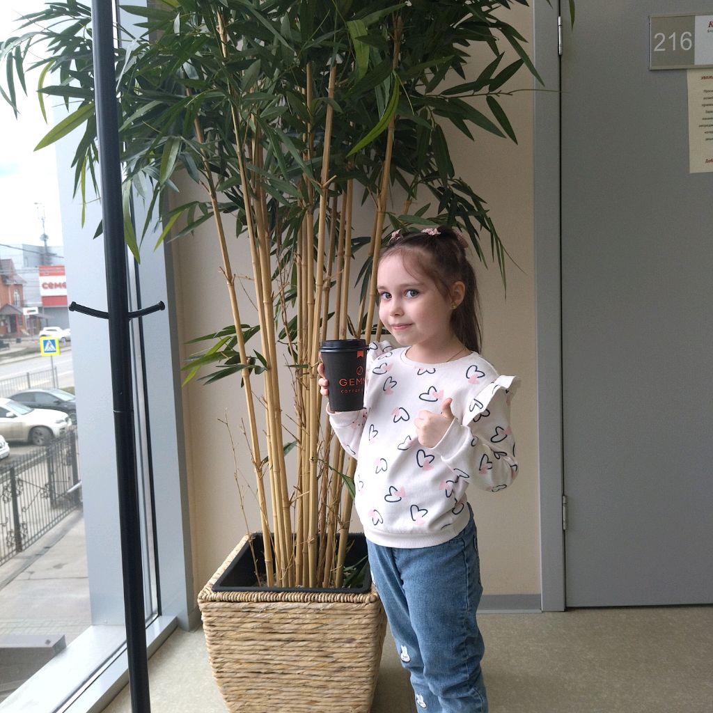 Аватар автора