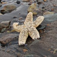 Иконка канала Алексей Са