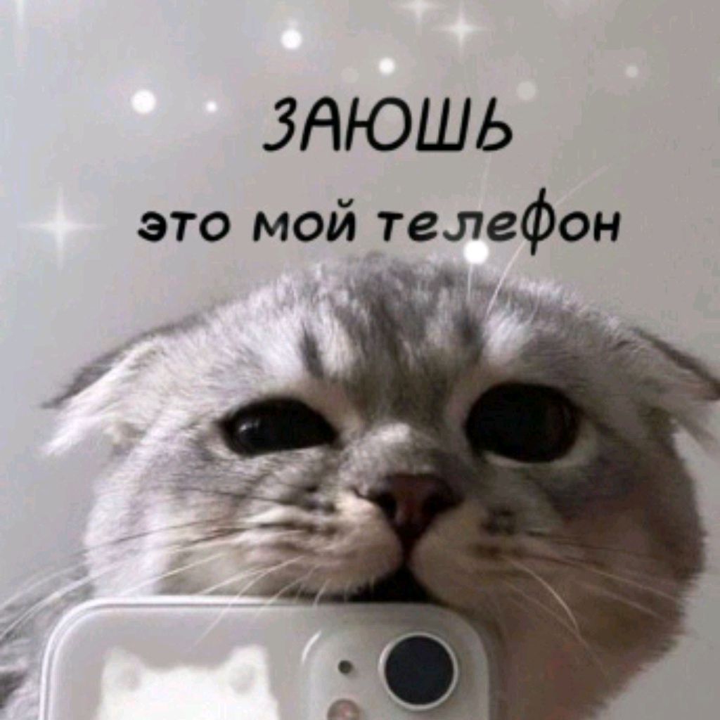 Аватар автора