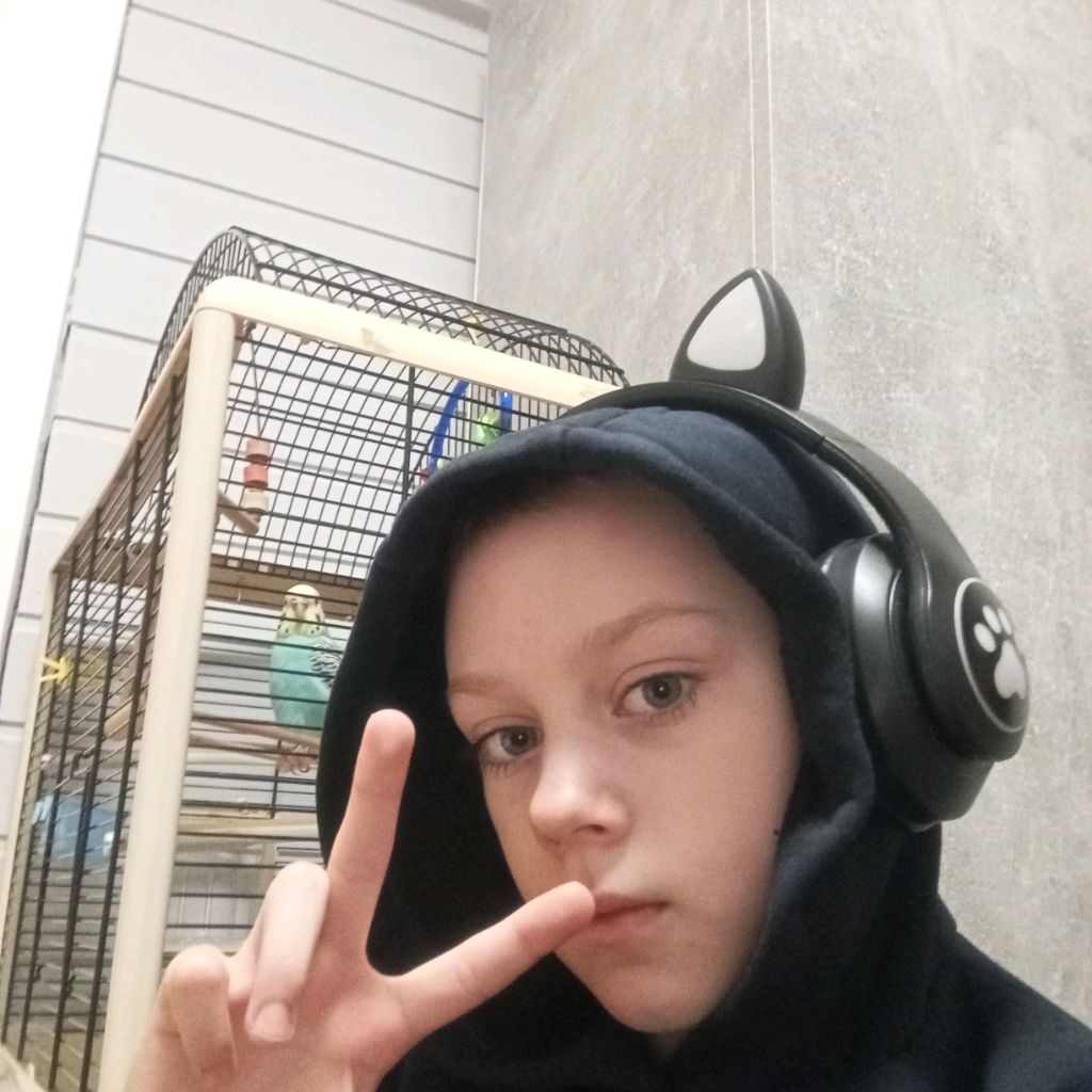 Аватар автора