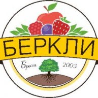 Иконка канала Berkli