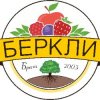Иконка канала Berkli