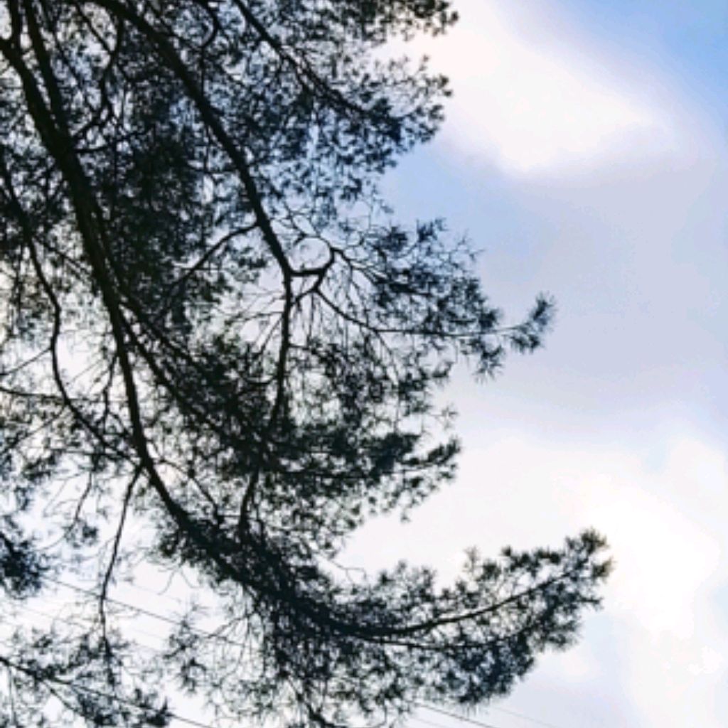 Иконка канала Love reborns🎀