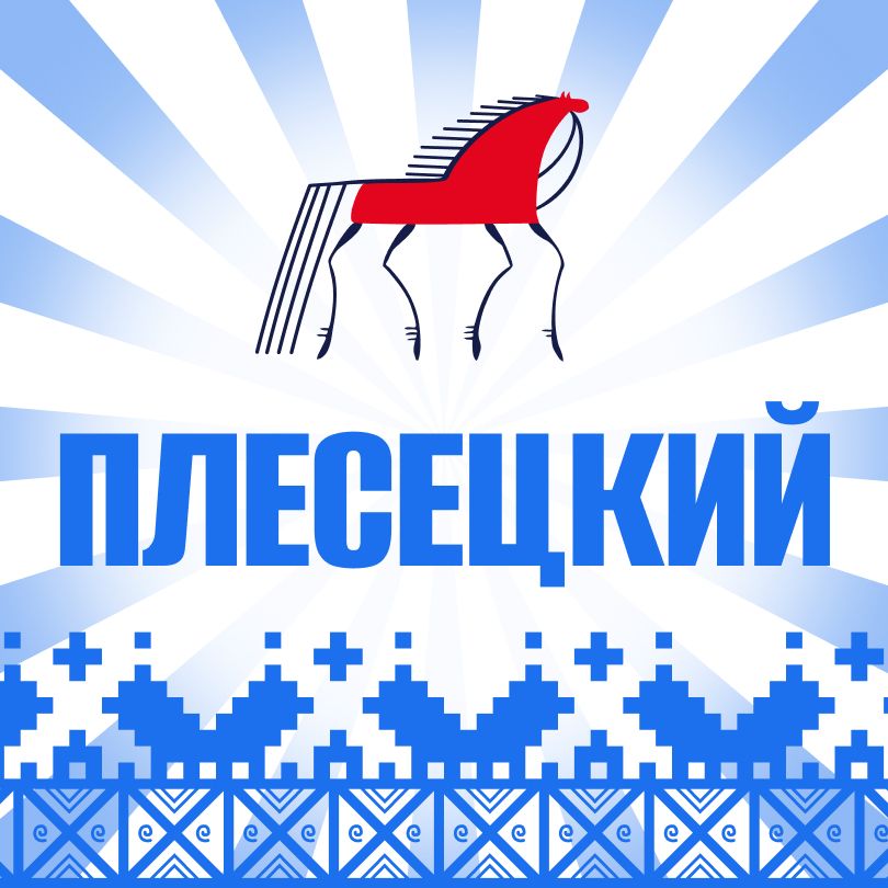 Иконка канала Администрация Плесецкого округа
