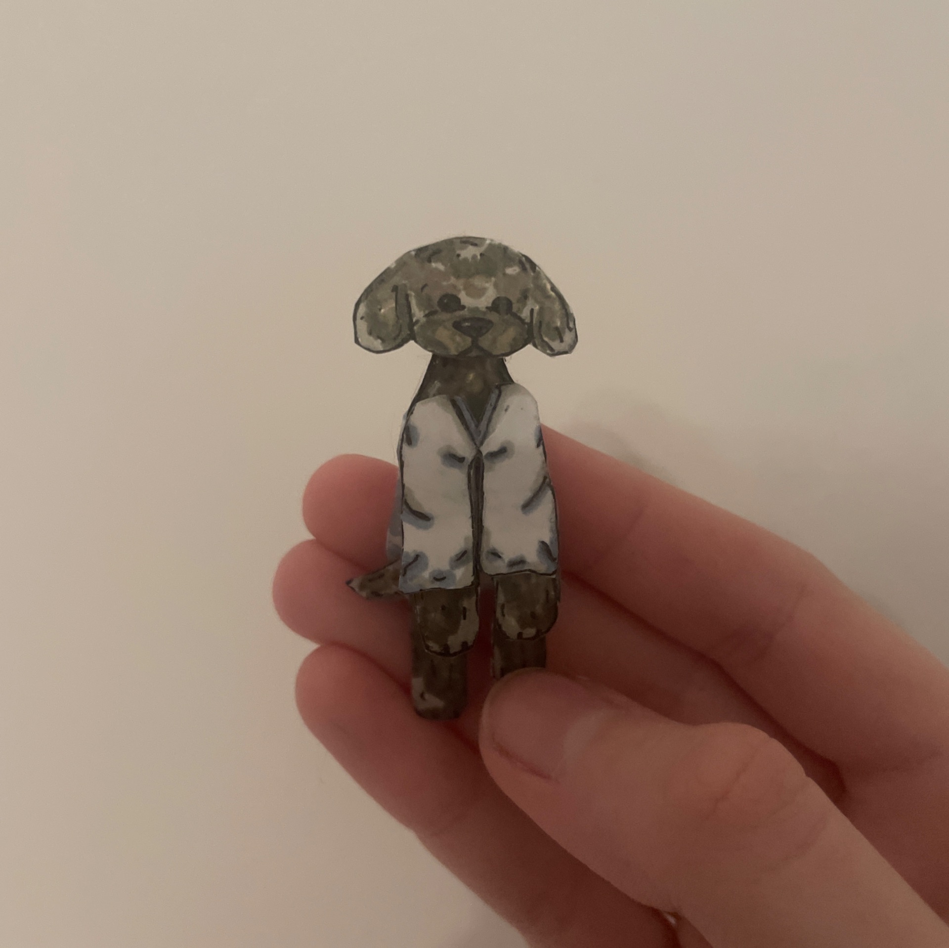 Иконка канала dog&cat