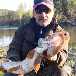 Аватар автора