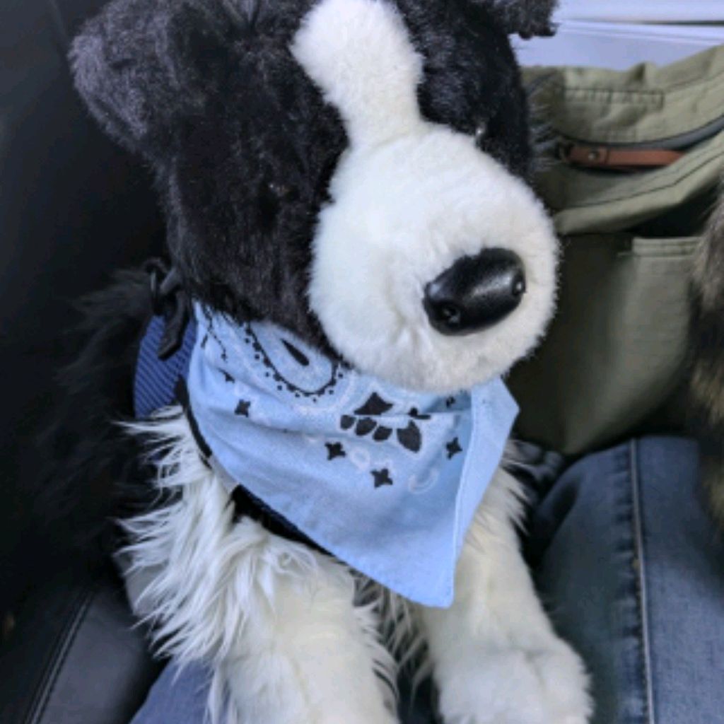 Иконка канала ♡~Doglife~Varya~♡