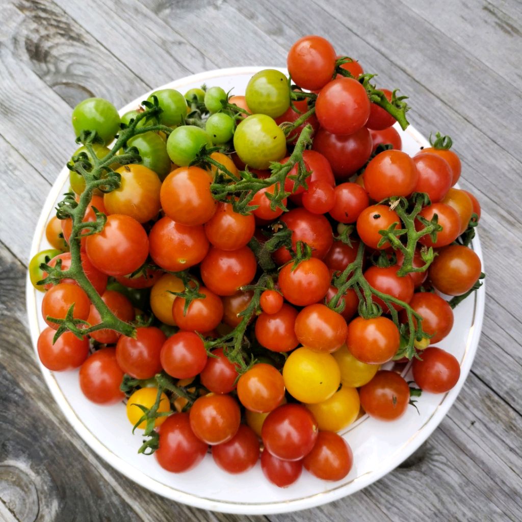 Иконка канала ВСЁ НАЧИНАЕТСЯ С УКРОПА