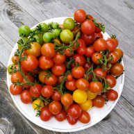 Иконка канала ВСЁ НАЧИНАЕТСЯ С УКРОПА