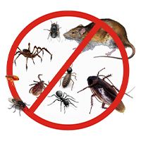 Иконка канала DezUslugaVyazma