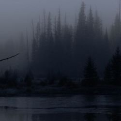 Иконка канала kartaviy