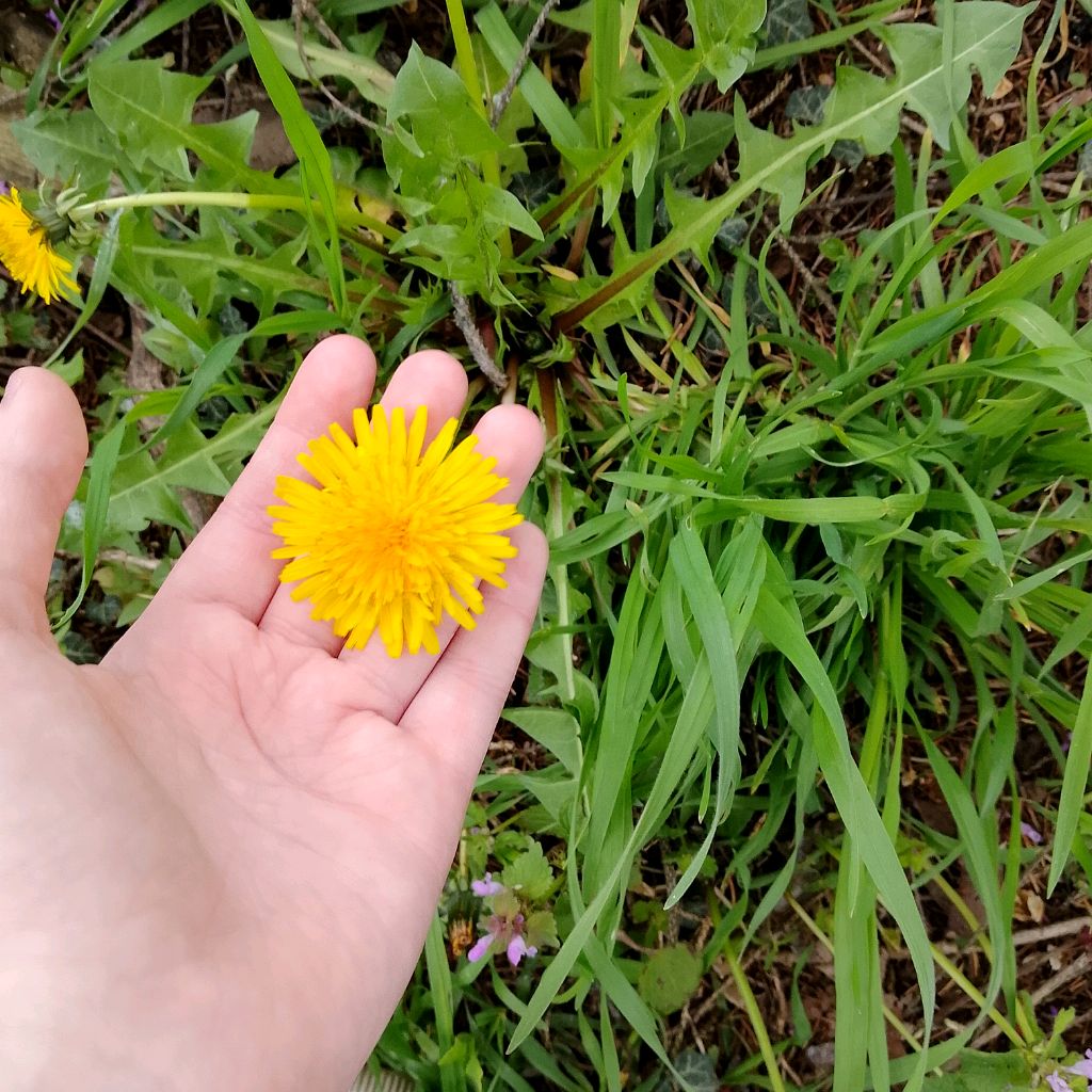 Иконка канала Дочь Военого🇷🇺🪖