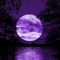 Иконка канала George