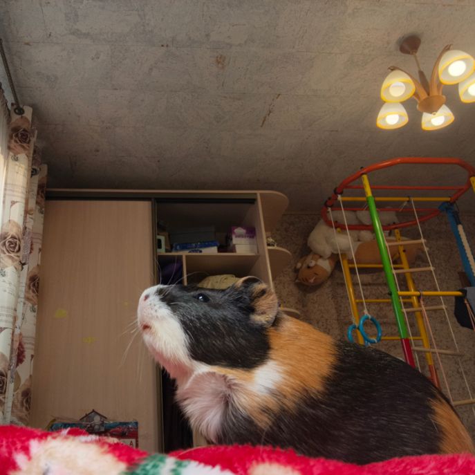 Иконка канала Huba Buba