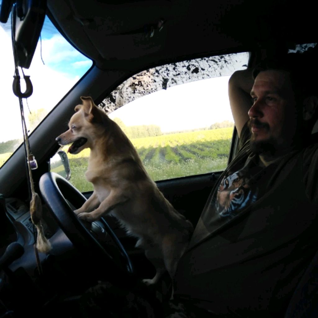 Иконка канала channel77578137