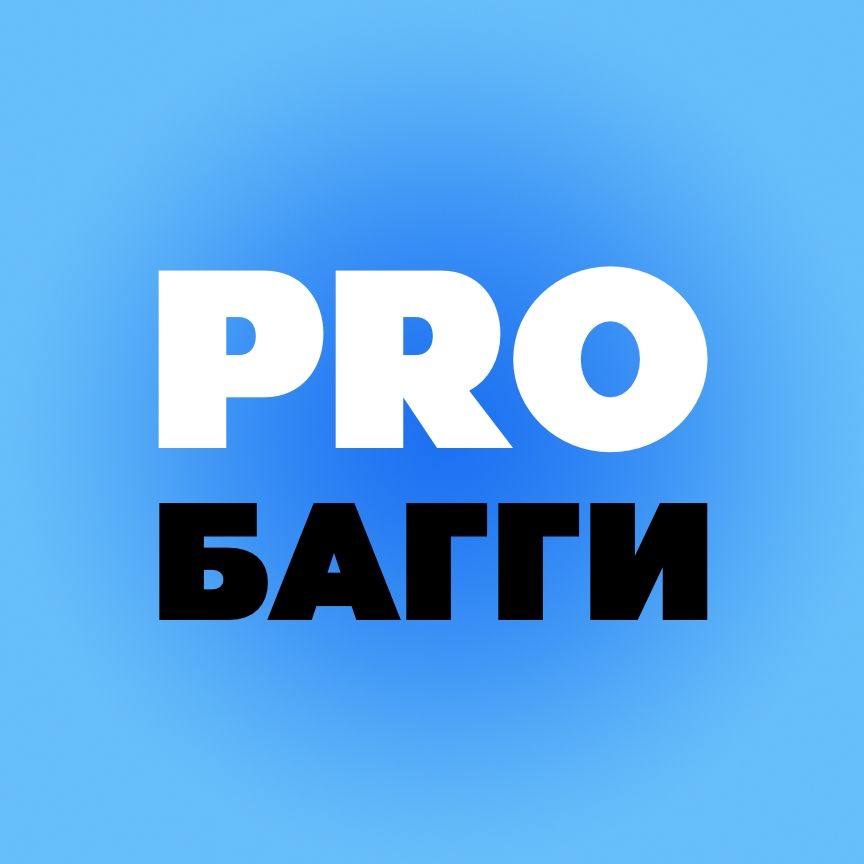 Иконка канала PROБАГГИ