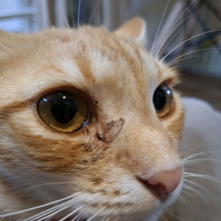 Иконка канала ☆Саша~Феликс☆