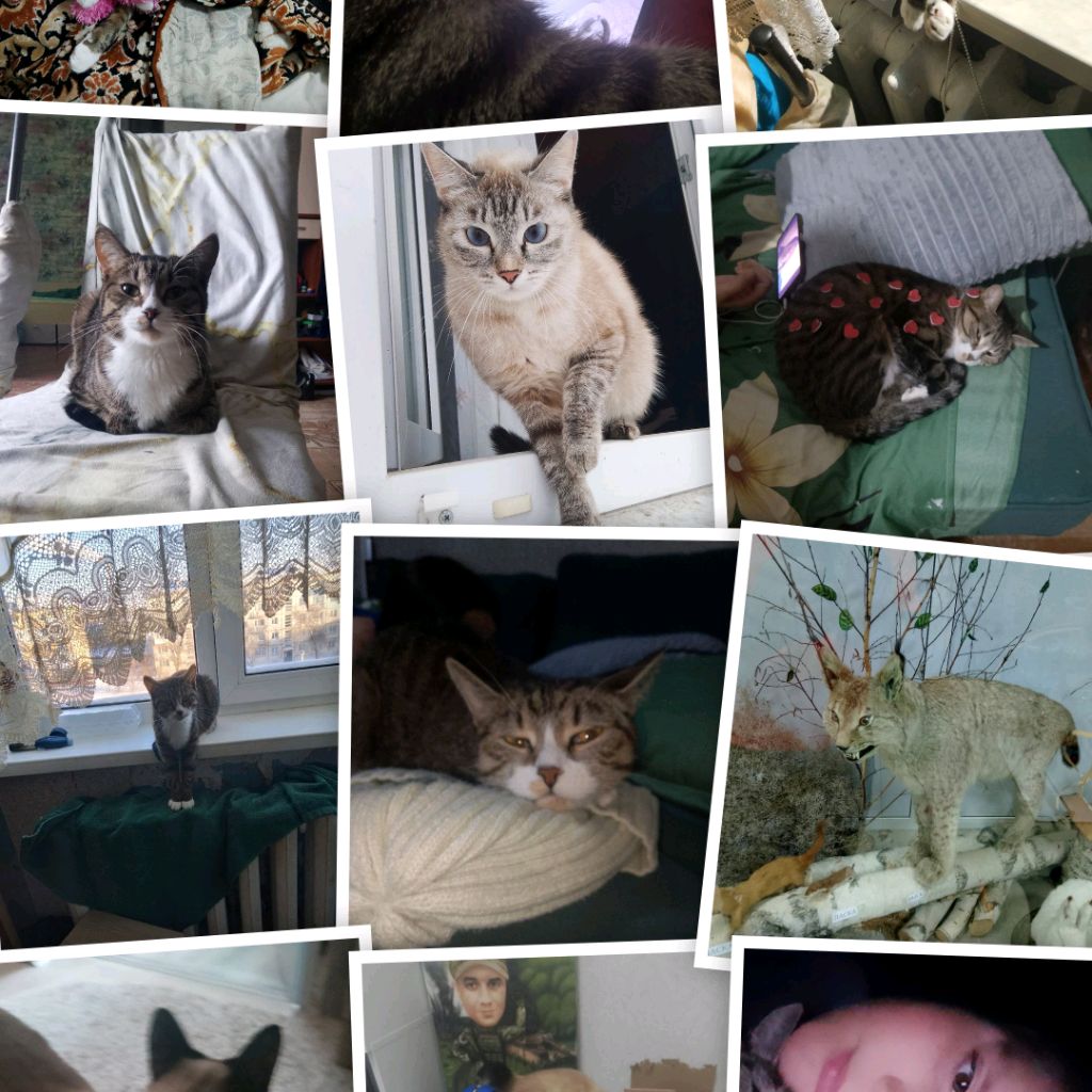 Иконка канала channel77590584