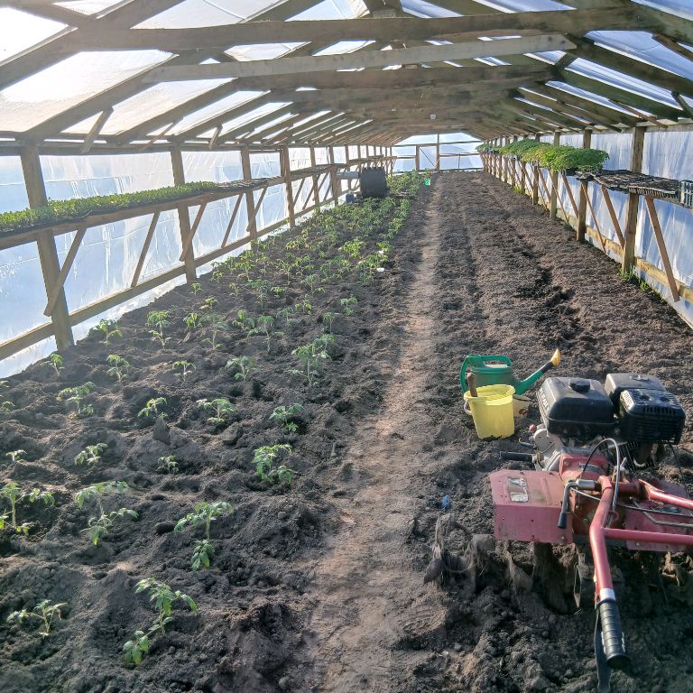 Иконка канала Деревенские Теплицы Сваими Руками