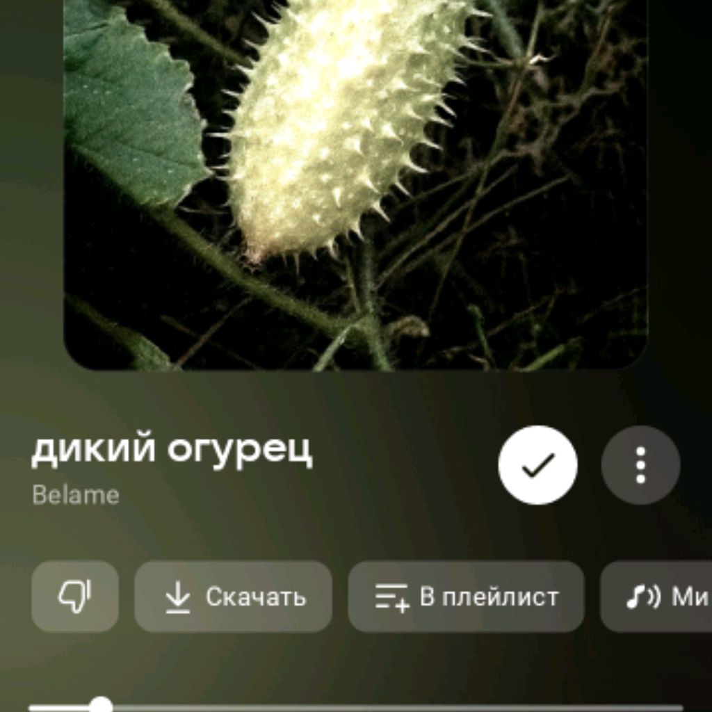 Иконка канала Ты кто Вообще такой я дикий огурец