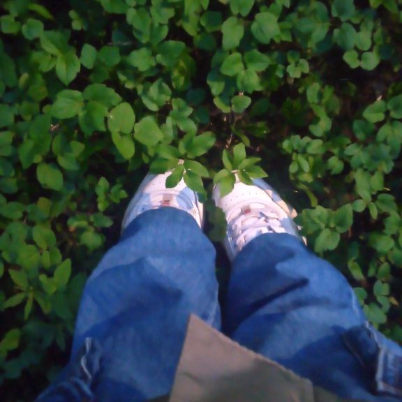 Иконка канала ✨🍀Эстетика🍀✨