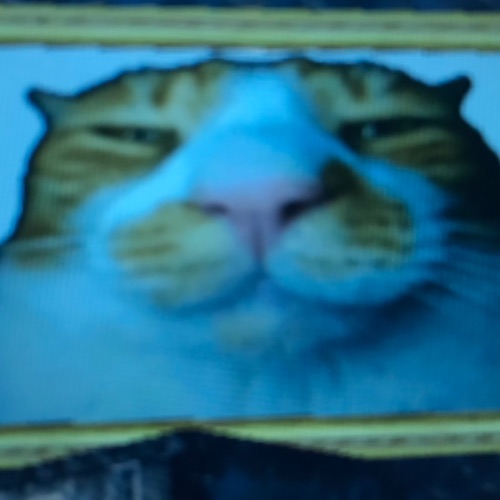 Иконка канала Yokoyama