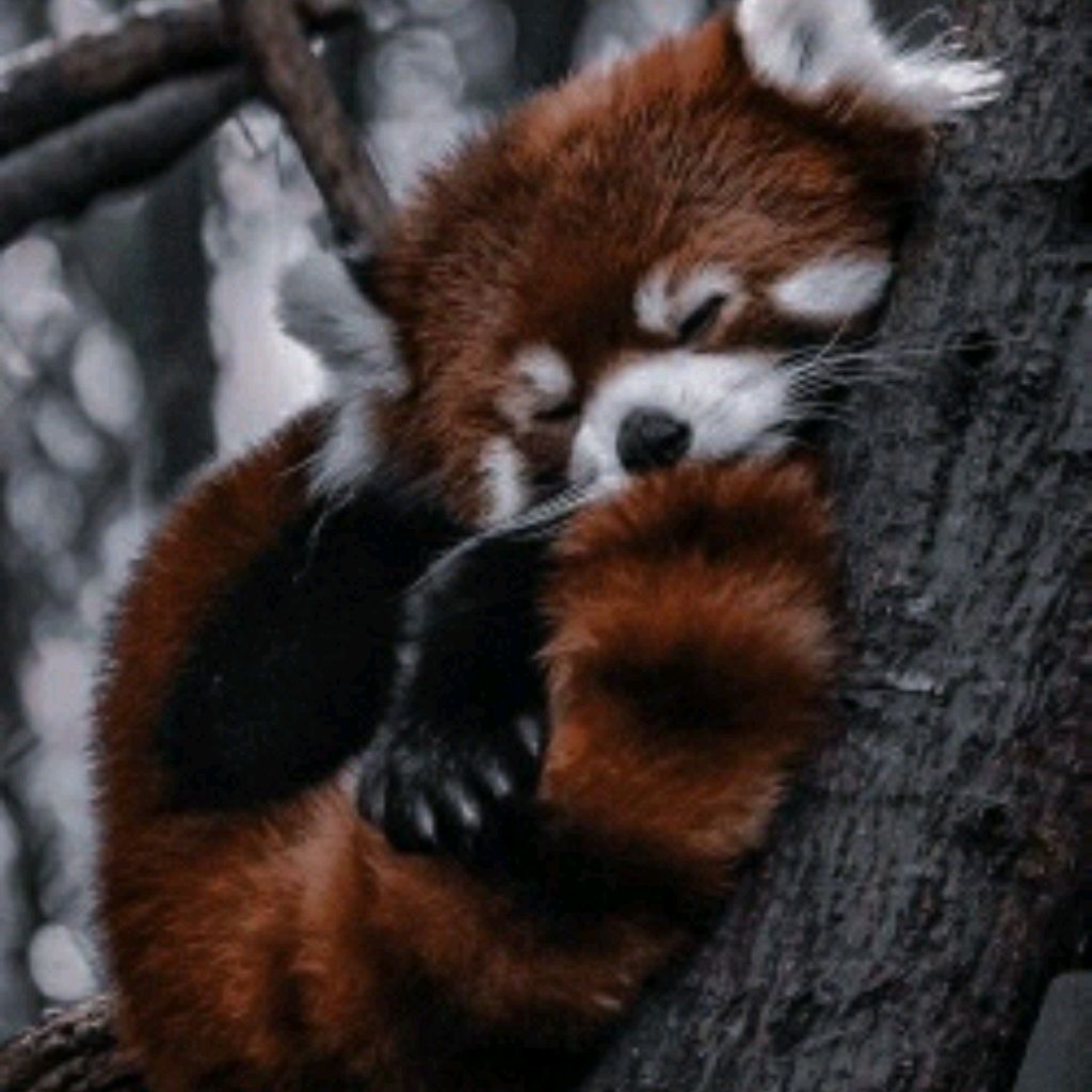 Иконка канала итэса♠❤️‍🩹