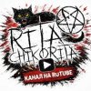 Иконка канала Rita_Chikorita