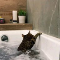 Иконка канала .