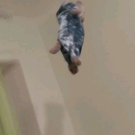 Иконка канала Simoshka🤍