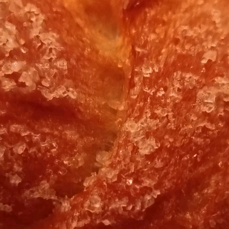 Иконка канала GTV- Официал