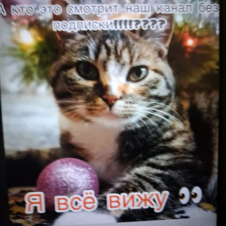 Иконка канала 🌸WhisperWaves🌸