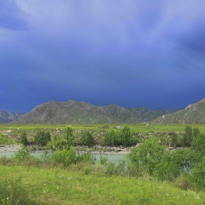 Иконка канала Конный клуб "Тайгачы"