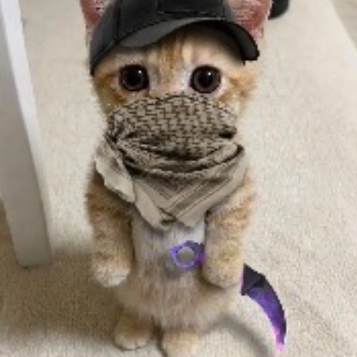 Иконка канала STAND THE GIRL