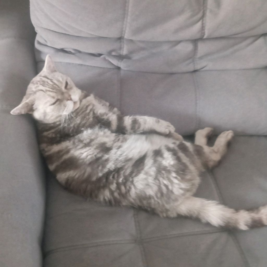 Иконка канала Дмитрий COD: Mobile