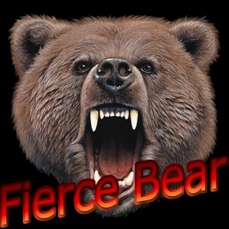 Иконка канала Fierce Bear Game