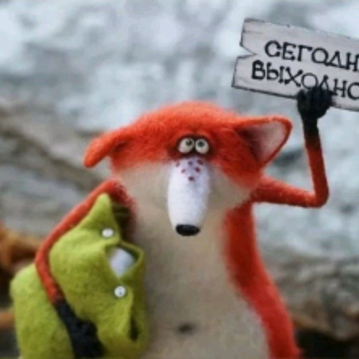 Иконка канала Griffi_VZM