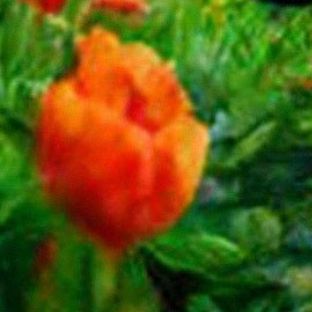 Иконка канала ZilliWorld