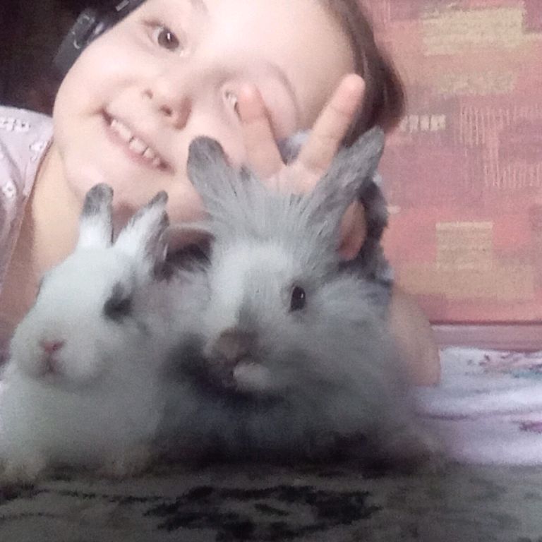 Иконка канала Агатуся И 🐶 И 🐰