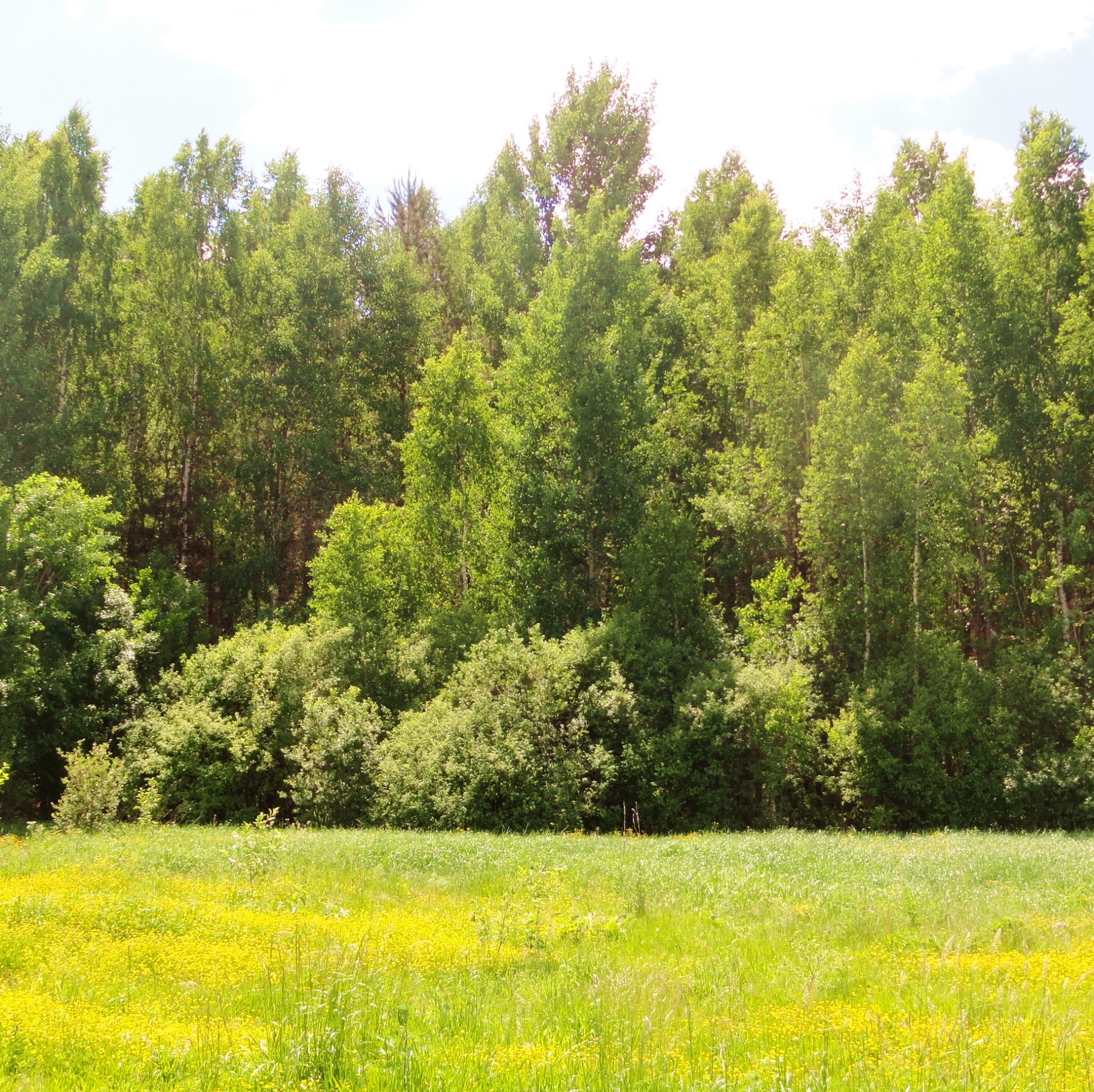 Иконка канала Роман Кветкин