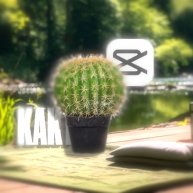 Иконка канала kaktus